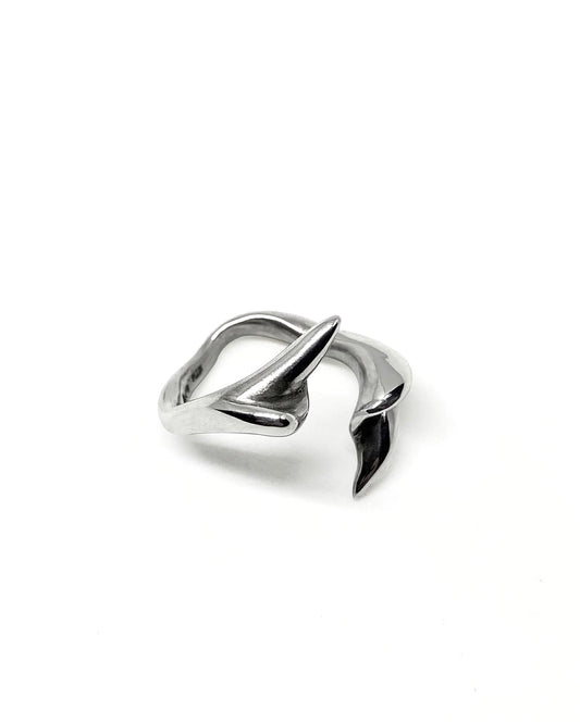 Anillo Vertrebrae