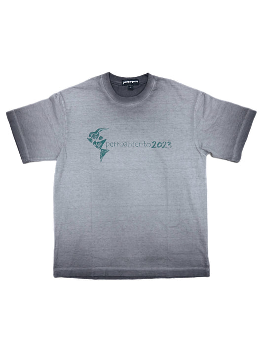 Grey 2023 T-shirt