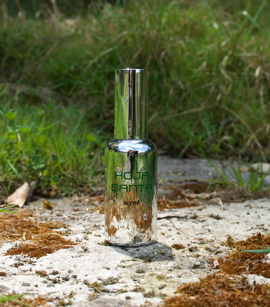 Hoja Santa Eau De Parfum